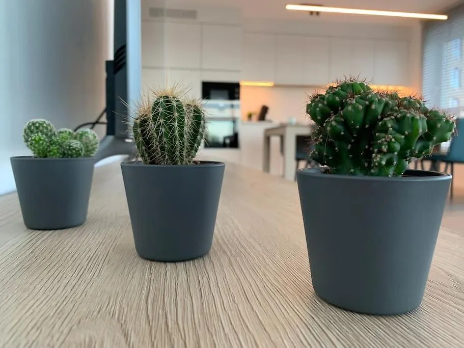 Luxeapp Waterweelde Nabij Oostende-Bredene Centrum Belgique